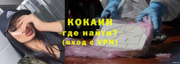 индика Билибино