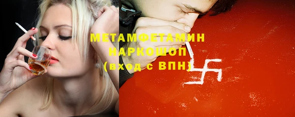 дживик Няндома