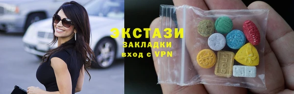 дживик Няндома
