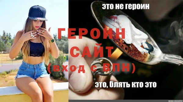индика Бикин
