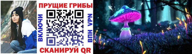 Галлюциногенные грибы Cubensis  купить  цена  Трёхгорный 