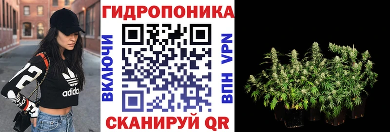 что такое   мега рабочий сайт  Бошки Шишки сатива  Трёхгорный 